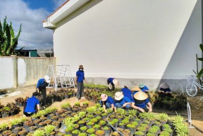 CHI ĐOÀN MN BÔNG SEN RA QUÂN THỰC HIỆN PHONG TRÀO “3 TRÁCH NHIỆM” TRONG CHIẾN DỊCH THANH NIÊN TÌNH NGUYỆN HÈ NĂM 2023